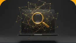 Chủ website SEO